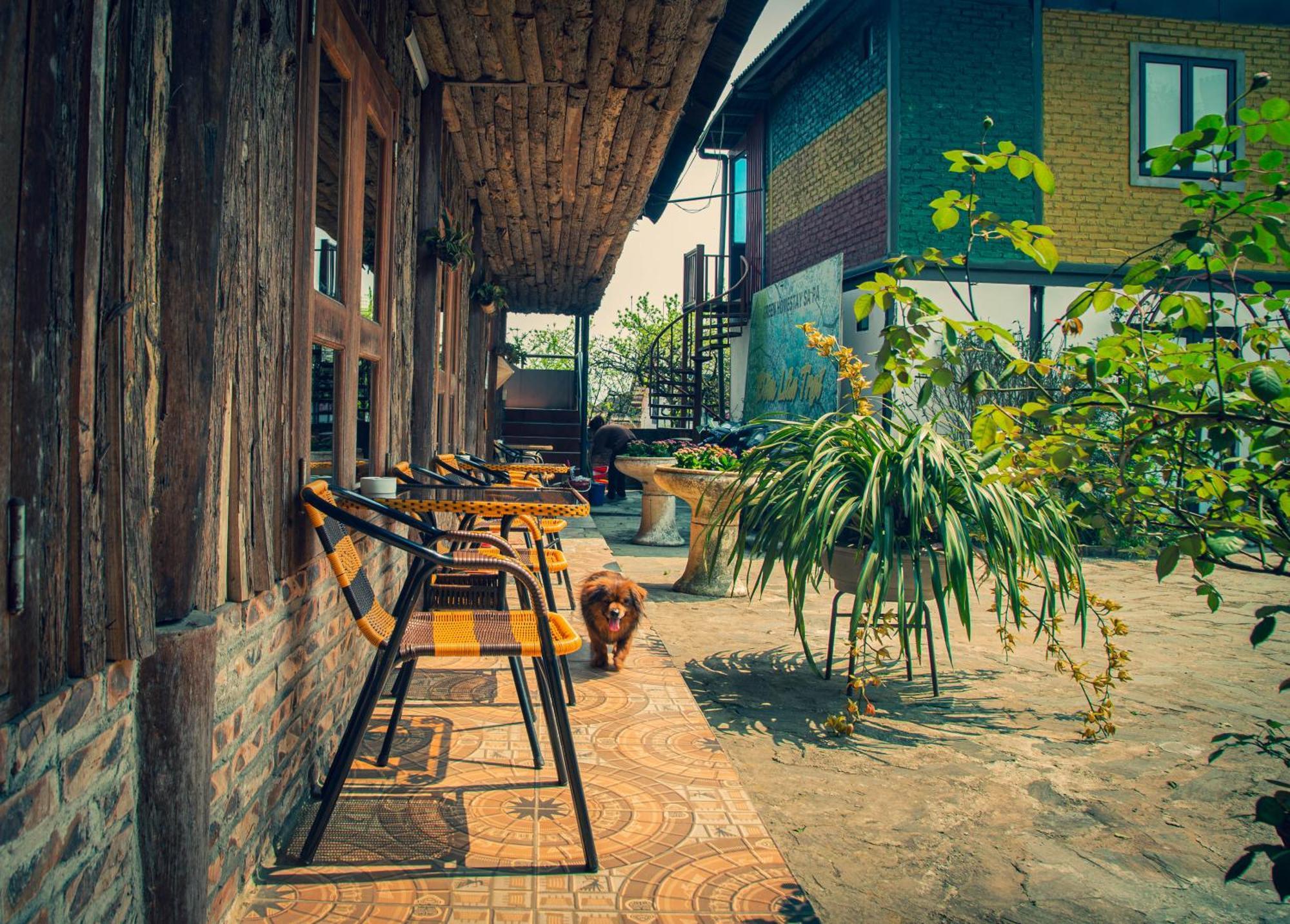 Green Sapa Homestay Esterno foto